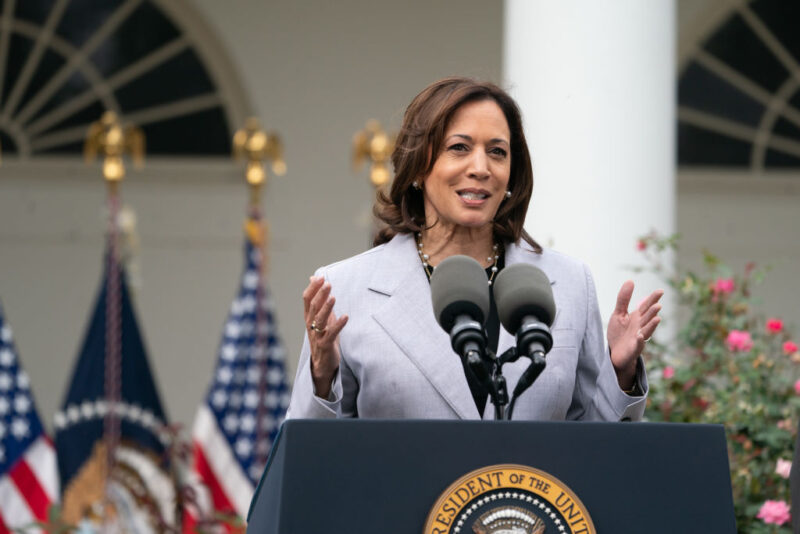 How “DEI” Is The New “N-Word,” Attacks On Vice President Kamala Harris Explained