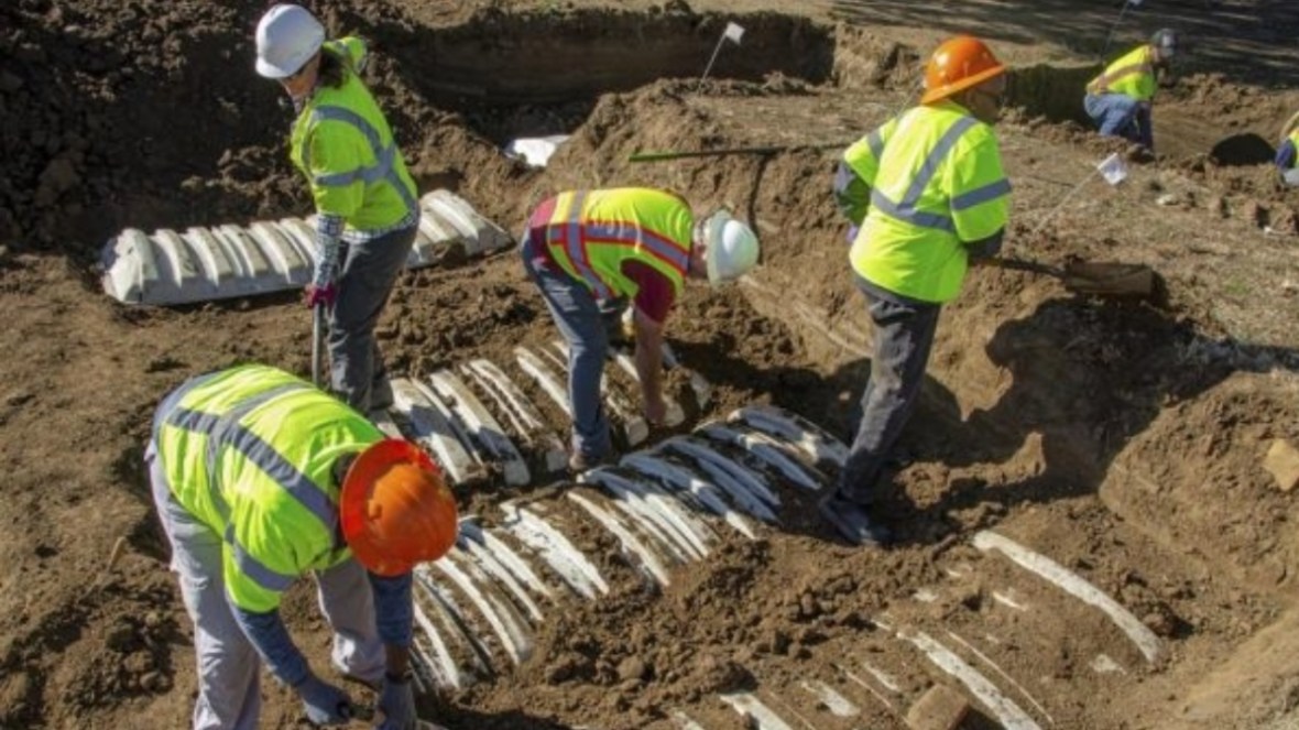 A World War I veteran is first Tulsa Race Massacre victim identified from mass graves