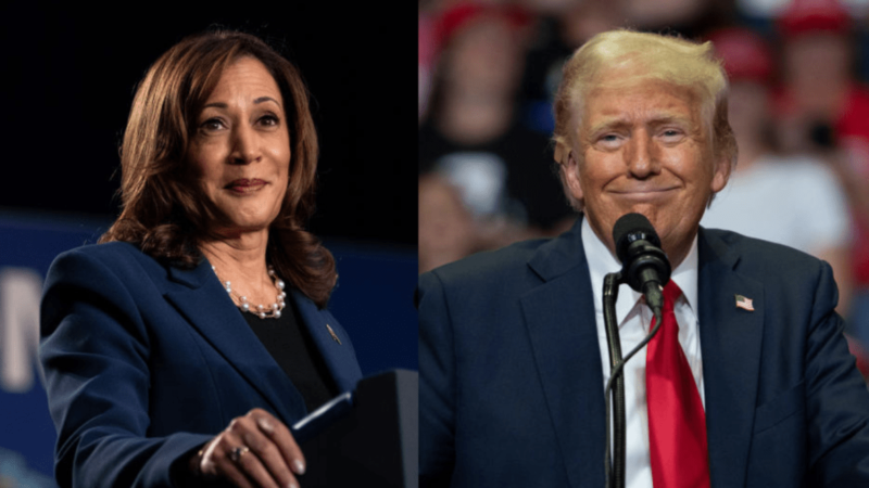 ‘She was made for this’: Harris allies explain why she can uniquely prosecute campaign against Trump