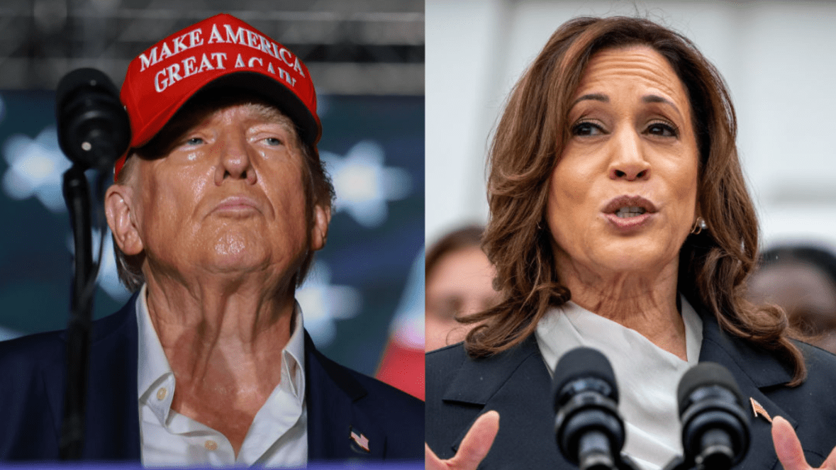 Trump’s nephew claims the former president used the N-word, as racism muddies election against Harris