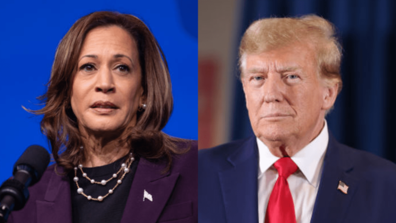 Harris won’t attend NABJ convention as group faces backlash over Trump invitation