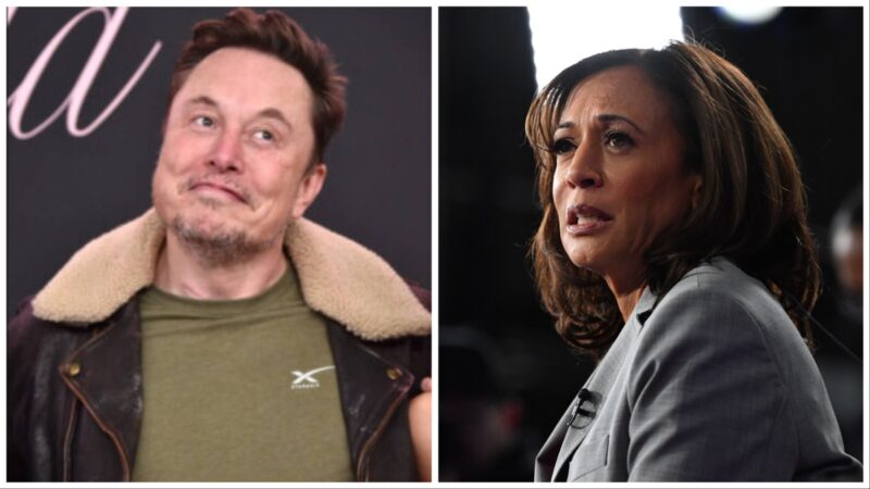 ‘Election Interference Is a Crime’: Elon Musk Called Out for Suspending ‘White Dudes For Kamala Harris’ X Account After Raising $4 Million