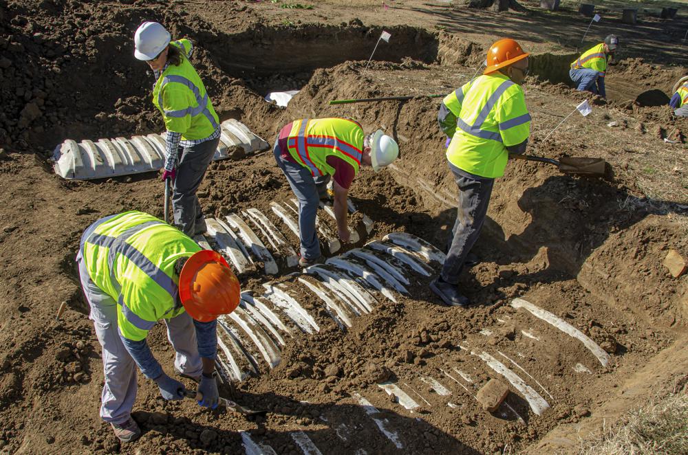 Third set of remains found with gunshot wound in search for 1921 Tulsa Race Massacre graves