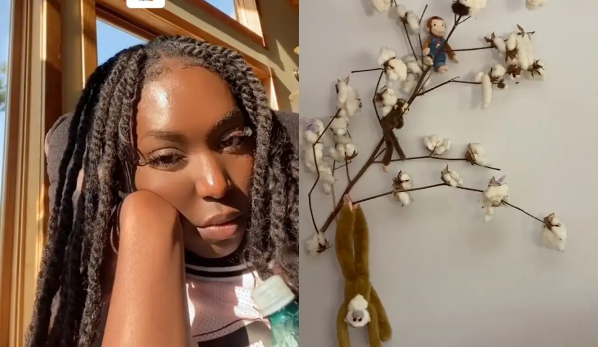 ‘Genuinely Insane’: Outraged Black Woman Leaves Airbnb Rental After Finding Disturbing Cotton and Monkey Furnishings, According to Viral Video