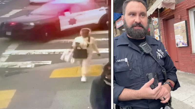 ‘I’m Not a Threat!’: California Cop Shoves Black Woman Against Wall, Violently Arresting Her for Jaywalking Because He Feared for His Safety