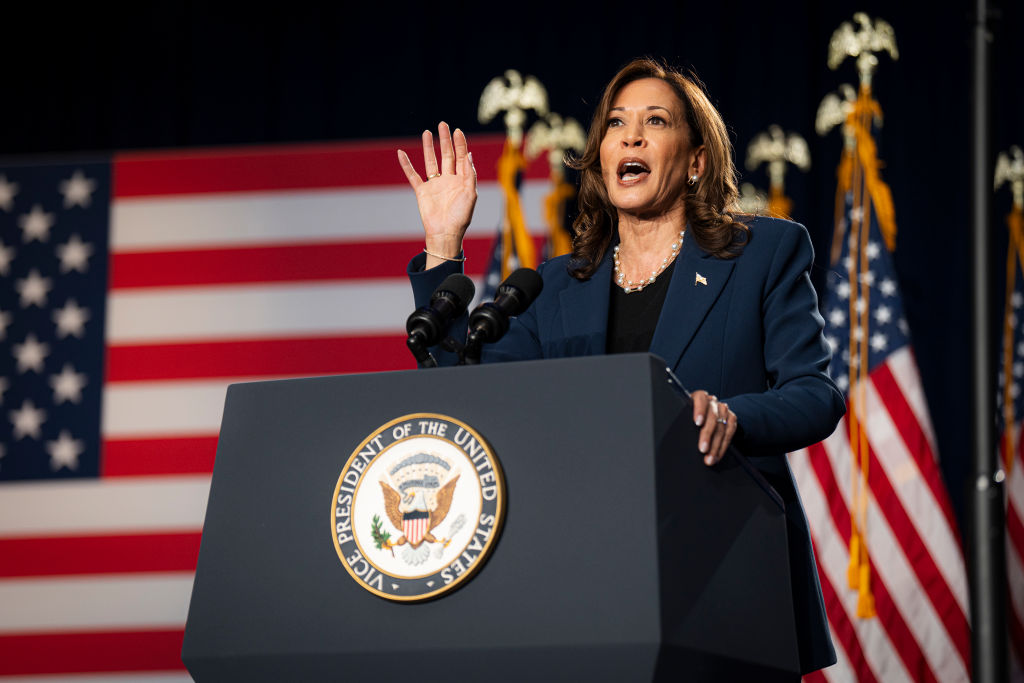 Vice President Kamala Harris Holds Slight Lead Over Donald Trump, New National Poll Suggests