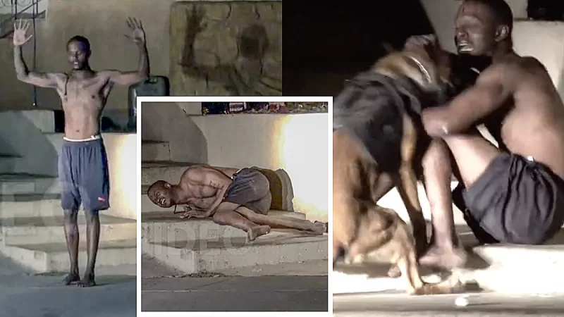 ‘Why’d You Shoot Me?’: Black Man Files Claim Against Police Who Shot Him with Bean Bags and Allowed K-9 to Maul Him Despite Surrendering with Hands In Air