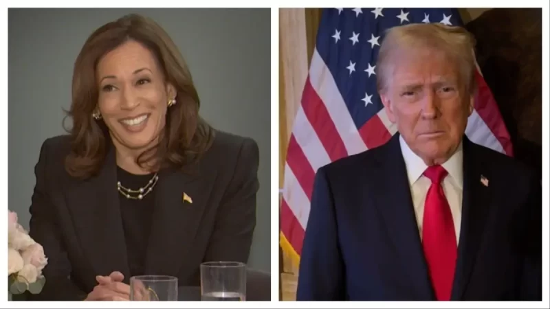 ‘Giving Republicans a Bad Name’: MAGA Erupts In Chaos as Trump Supporters Turn on Each Other to Rush to Kamala Harris’ Defense After Election Loss