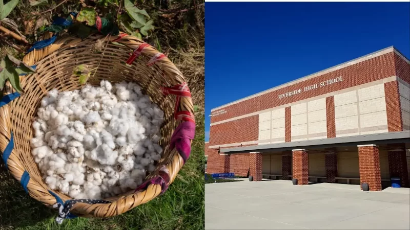 ‘Kids Began Making Jokes About Black People’: Virginia High School Sparks Outrage with ‘Deeply Humiliating’ History Lesson Involving Raw Cotton