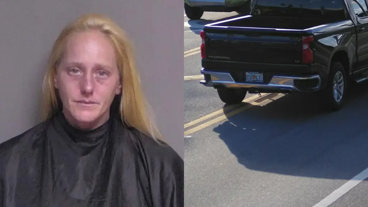 ‘His Head Was Split Wide Open’: Florida Woman Takes Tearful Mug Shot After Allegedly Hitting Teen, Hiding License Plate to Evade Police Then Getting Pulled Over Later for Reckless Driving