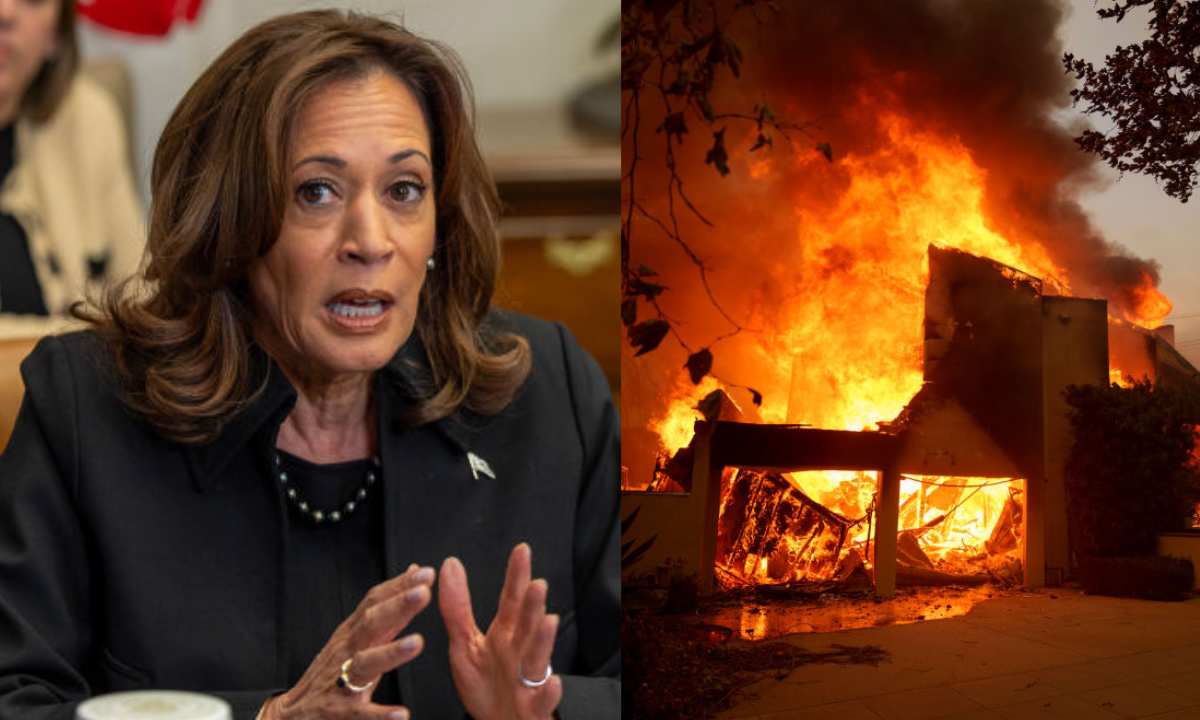 VP Harris mourns historically Black Altadena amid California fires, condemns insurance disparities and misinformation