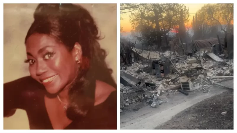 ‘It Totally Burned Down’: ‘Blues Brothers’ Actress  Confirmed Dead After Remains Found In Home with Collapsed Roof During L.A. Wildfires