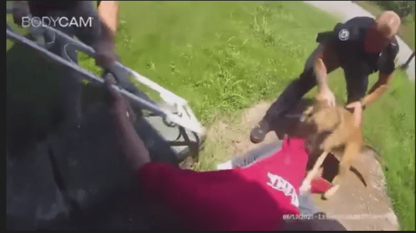 Alabama Judge Dismisses Case Against Black Man Attacked By Police Dog