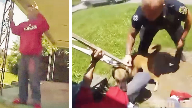 ‘Bite Him! Bite Him!’: Black Man Mauled By Police Dog As He Stood Outside His Own Home Observing Arrest Finally Has Charges Dismissed As Cop Remains on Force