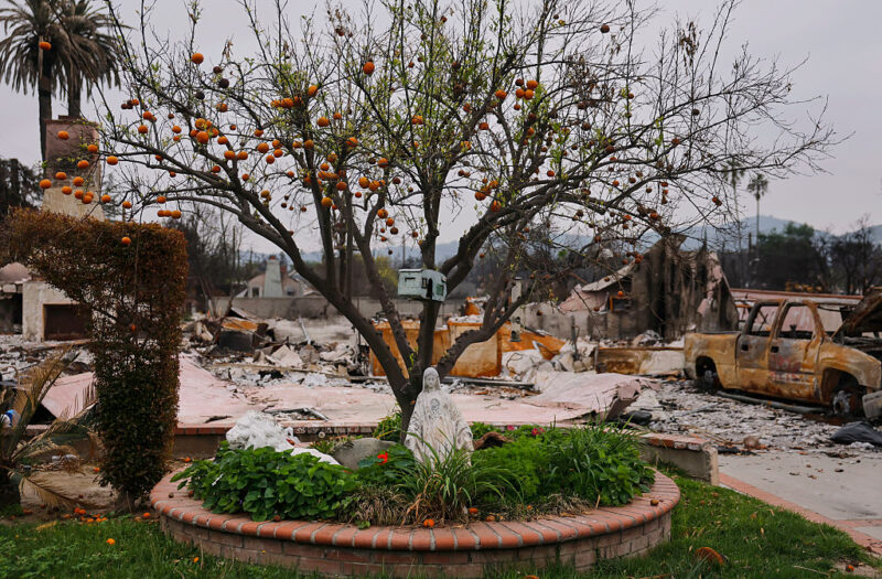 Altadena Residents Are Ready To Rebuild, But Permit Delays Present Yet Another Hurdle