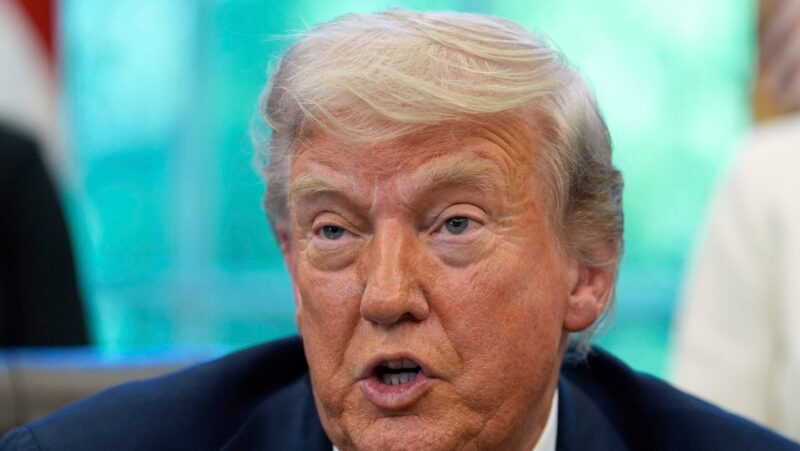 Judge halts parts of Trump’s overhaul of US elections, including proof-of-citizenship requirement