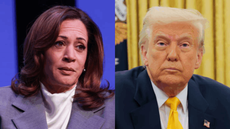 Kamala Harris will deliver ‘pointed critique’ of Trump in first extensive remarks since leaving office