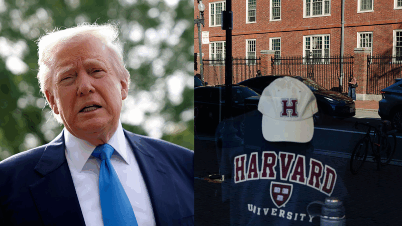 Black Democrats who attended Harvard and Candace Owens agree one thing: Trump’s campus crackdown goes too far