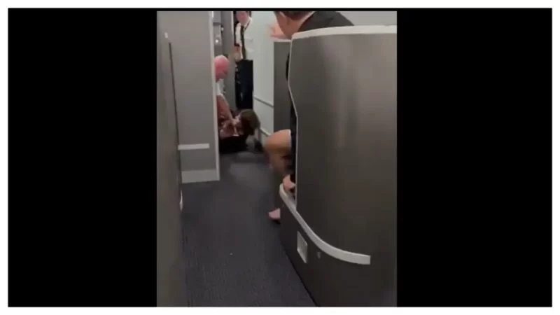 ‘Aren’t You Ashamed?’: Video Shows Woman Fighting with Attendants Struggling to Restrain Her After She Stormed Cockpit Because Flight Was Running Late, Outraged Passenger Let’s Her Have It