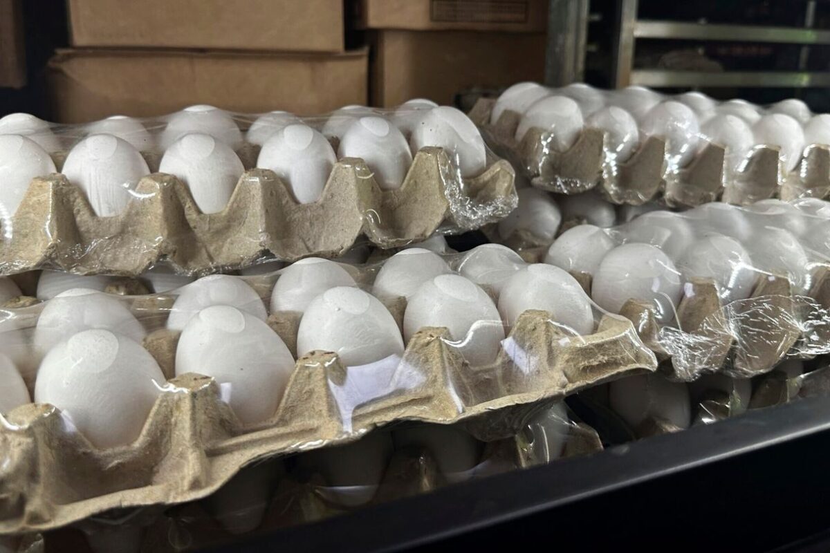 US egg prices fall for the first time in months but remain near record highs