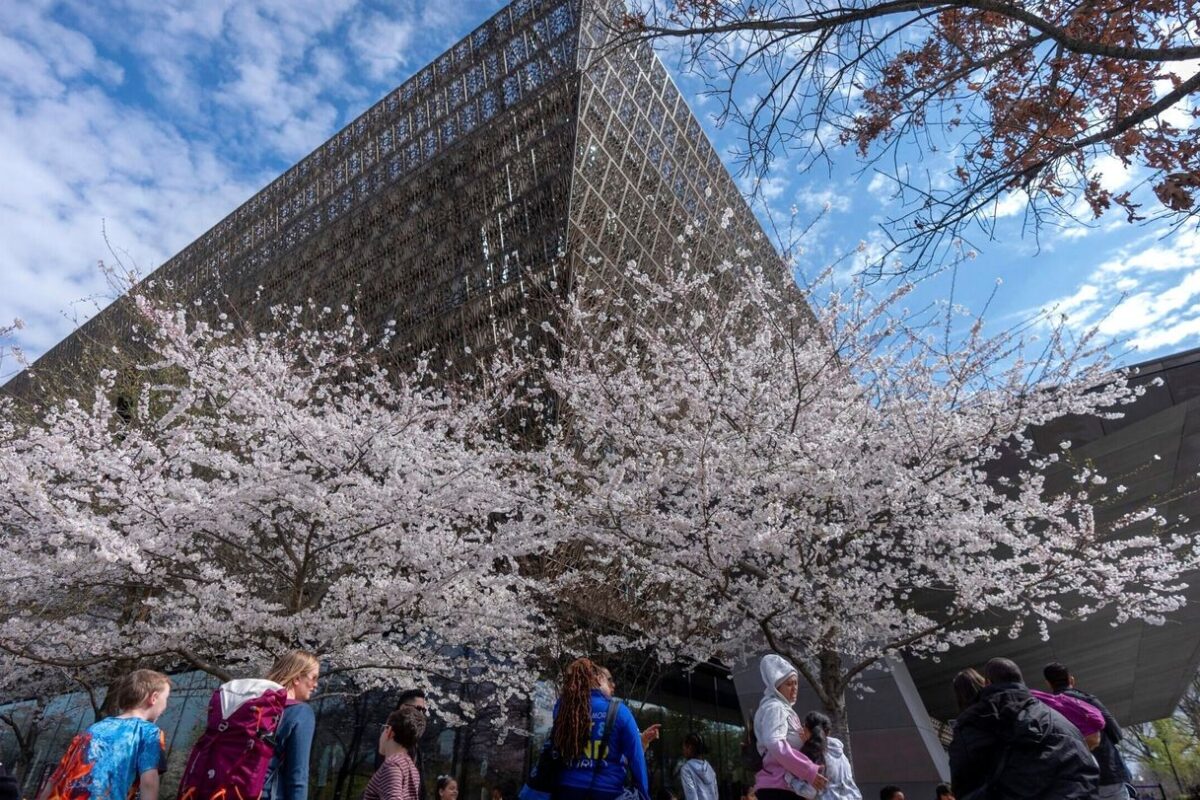 Prominent pastor notified books loaned to African American museum may be returned amid review