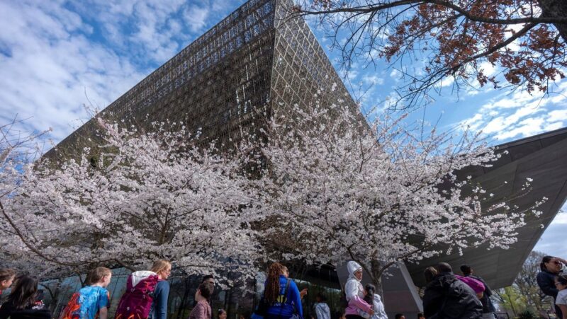 Prominent pastor notified books loaned to African American museum may be returned amid review