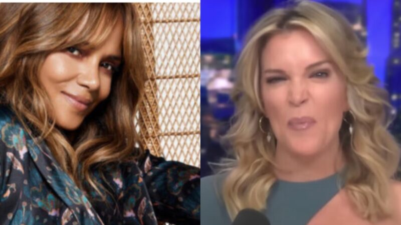 ‘She’s Jealous of So Many’: Megyn Kelly Slammed for Trying to Shame Halle Berry’s Steamy Post with Her Man