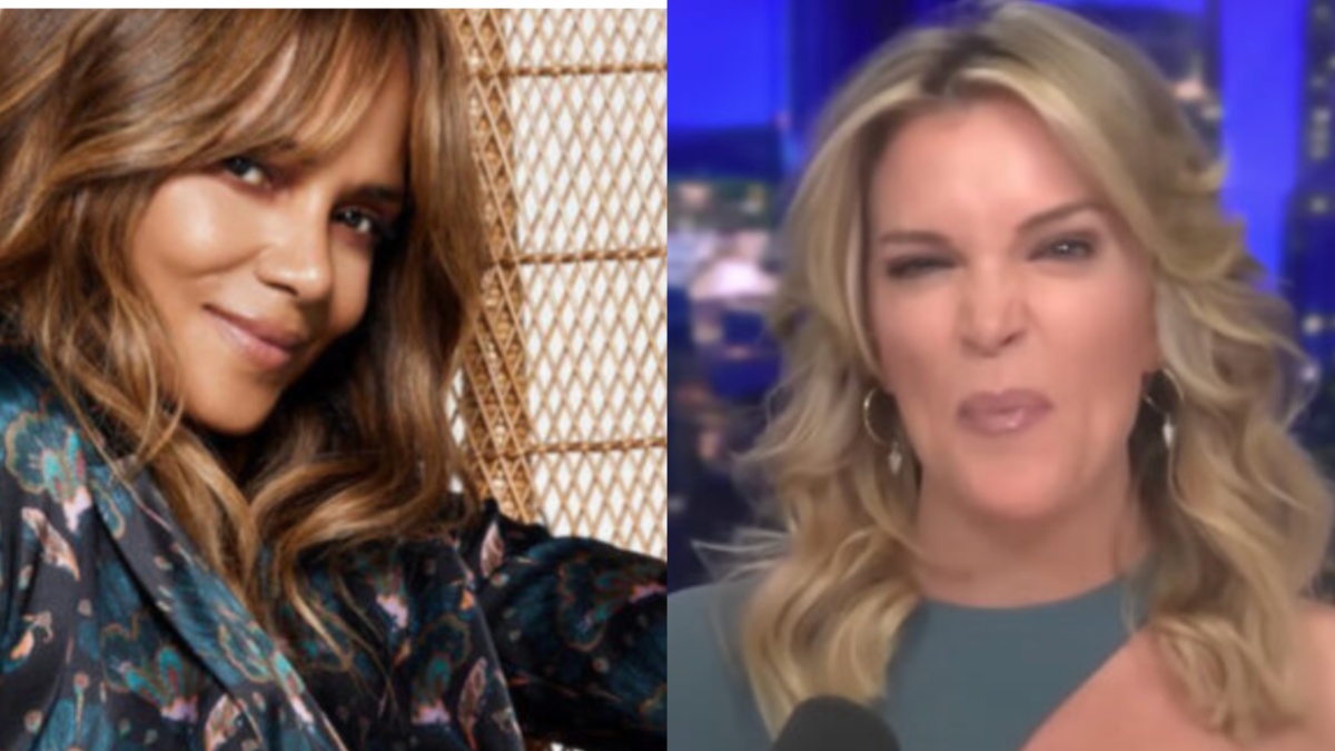 ‘She’s Jealous of So Many’: Megyn Kelly Slammed for Trying to Shame Halle Berry’s Steamy Post with Her Man