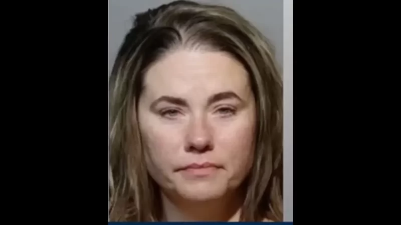 Maryland Woman Hit Child With Fist, ‘Slammed’ His Head Against Plane Window After He Called Her ‘Fat’ and ‘Miss Piggy’ After Trip to Disney World, Witnesses Say