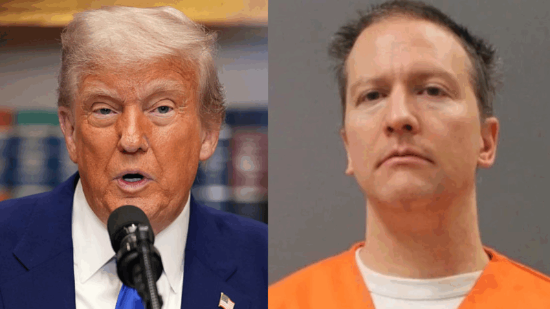 White House responds to rumors of Trump pardoning Derek Chauvin amid renewed call from Marjorie Taylor Greene