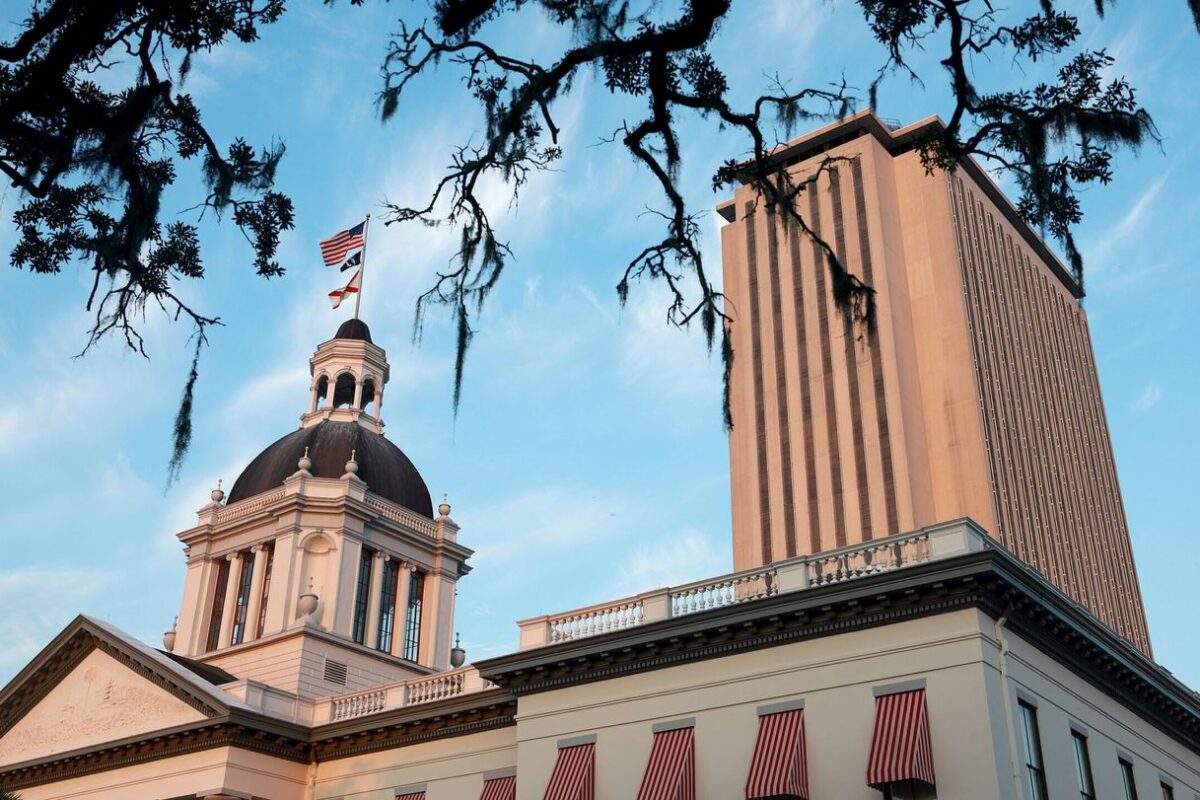 Brother and sister compete for Florida state senate seat in a sibling showdown