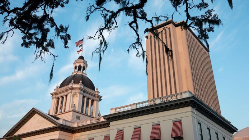 Brother and sister compete for Florida state senate seat in a sibling showdown