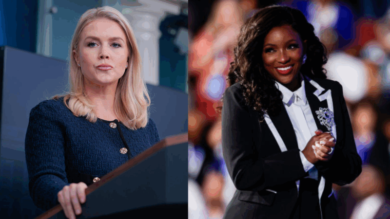 White House press secretary takes a dig at Rep. Jasmine Crockett after she called out Trump supporters as ‘sick’