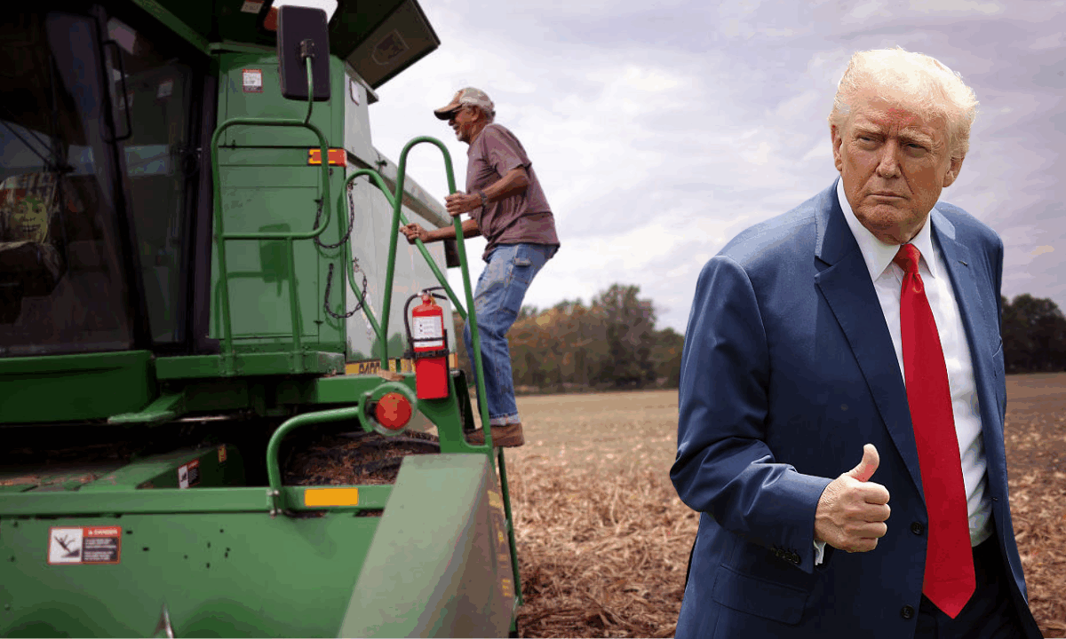 Trump’s DEI rollbacks are starving Black farmers like never before