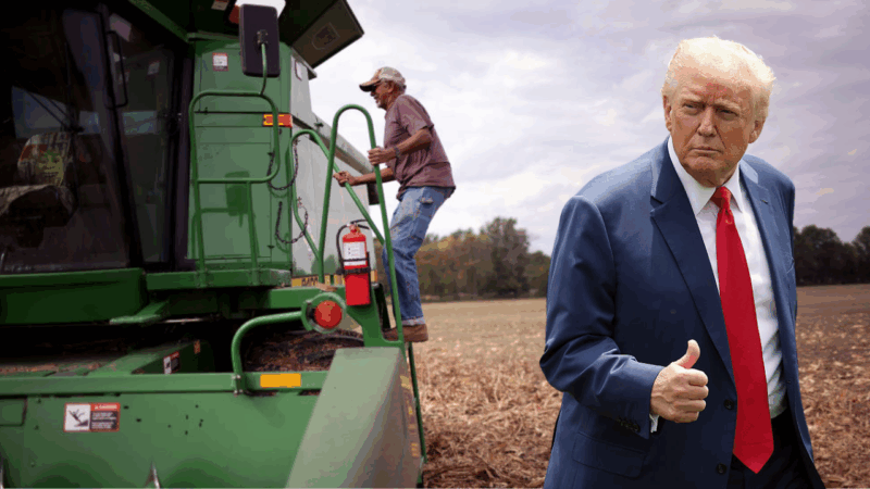 Trump’s DEI rollbacks are starving Black farmers like never before