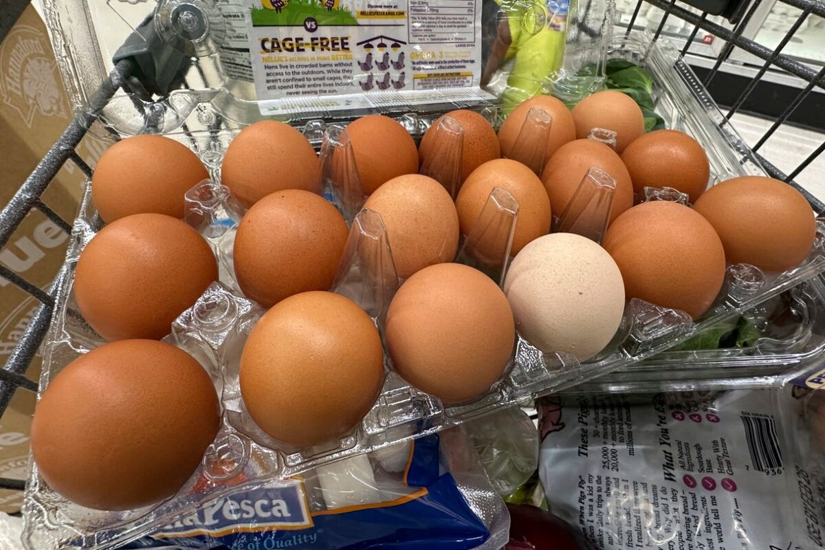 US inflation accelerated in June as Trump’s tariffs start to bite