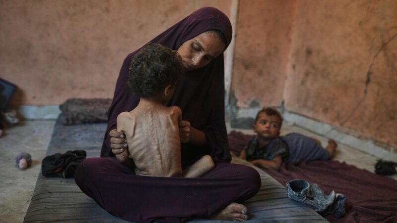 ‘Worst-case scenario of famine’ is happening in Gaza, food crisis experts say