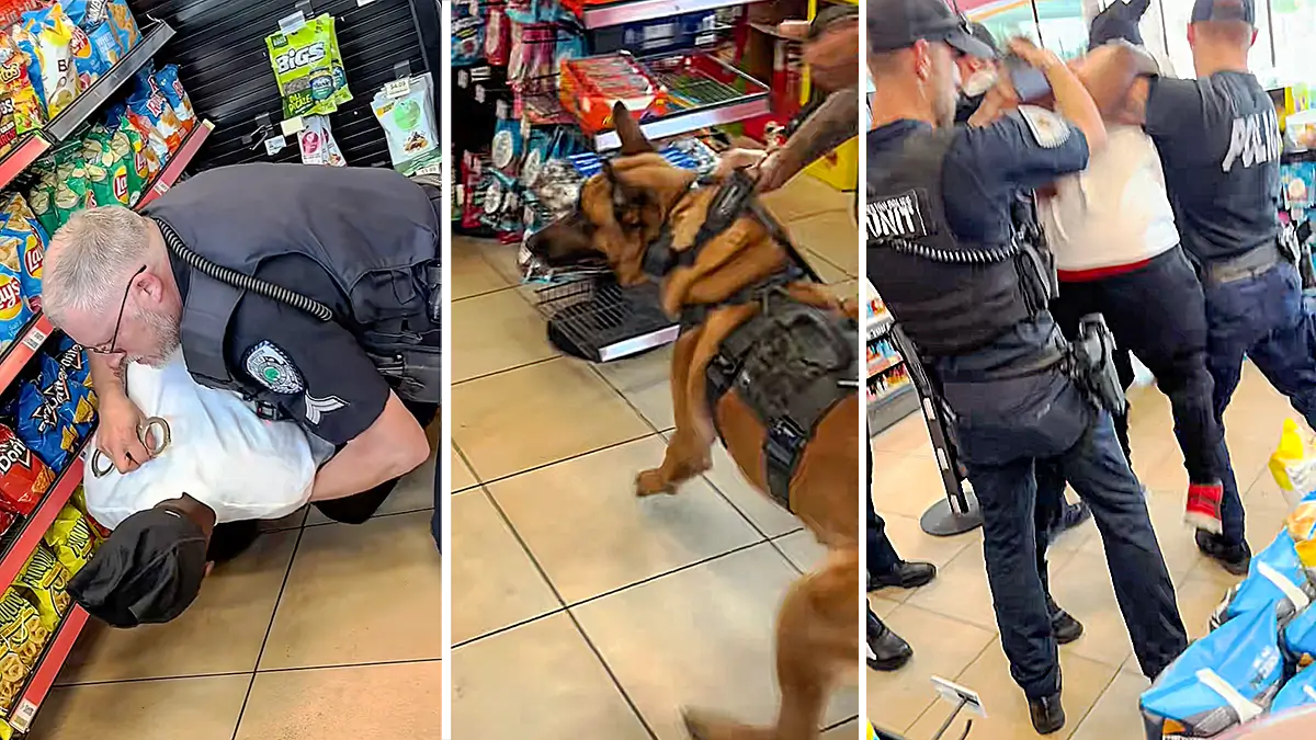 ‘Somebody Help Me!’: South Carolina Officer On Leave After Bystander Video Shows Several Cops Piling On Black Boy, Aggressively Arresting Him for Selling Roses In Circle K