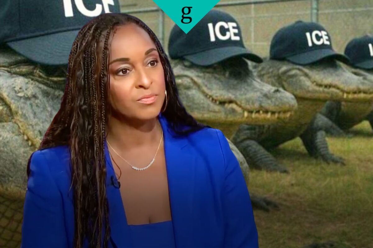 Powerful MSNBC panel unpacks the racist history behind ‘Alligator Alcatraz’ and the normalization of violence