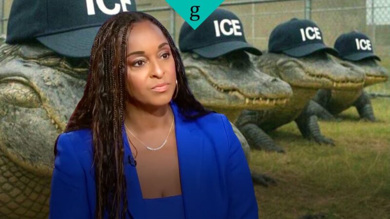 Powerful MSNBC panel unpacks the racist history behind ‘Alligator Alcatraz’ and the normalization of violence