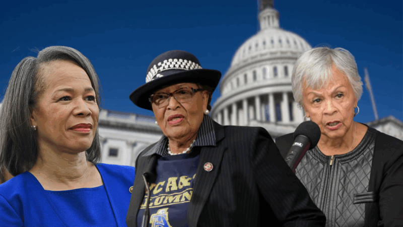 Members of Congress introduce resolution demanding equal pay for Black women