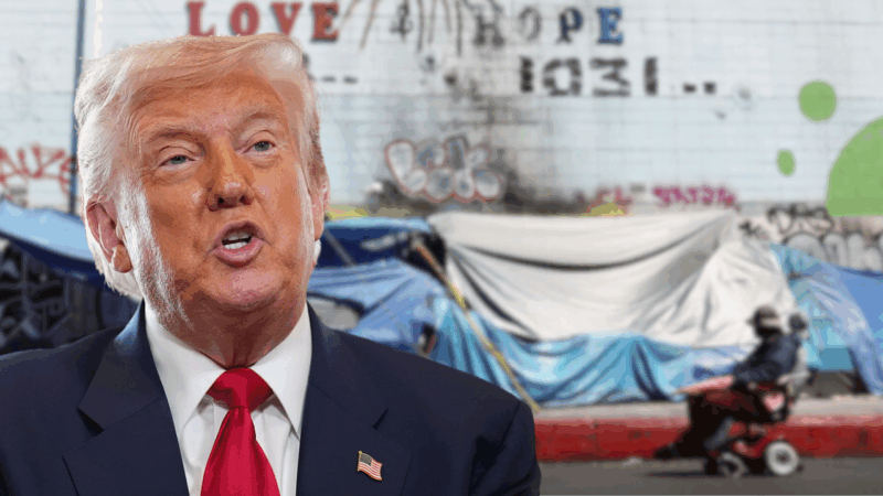 Trump’s executive order on homelessness, which disproportionately impacts Black Americans, slammed as ‘cruel and inhumane’
