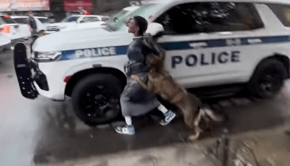 Suffolk County Police K-9 Gets Loose And Attacks Black Man Outside Of Slain NYPD Detective’s Funeral