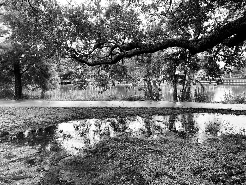 Healing Is A Fluid Journey: How Hurricane Katrina Changed Me