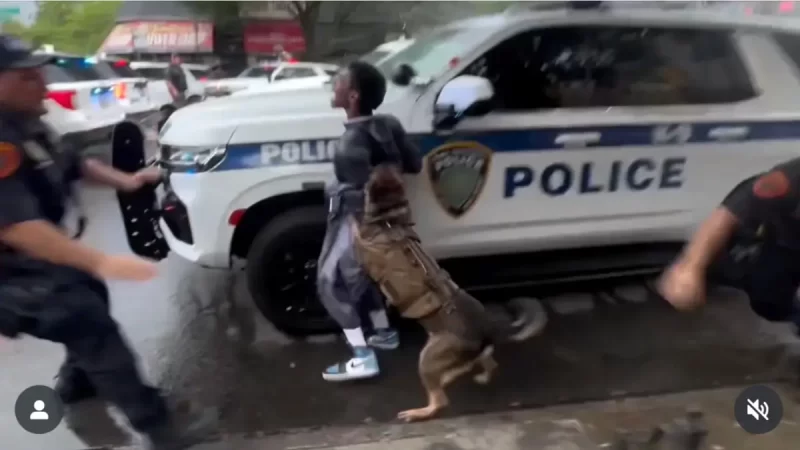 ‘Trained Their Dogs to Attack Black Men’: New York Police Department Faces Accusations of Racial Profiling After K-9 Makes a Beeline for Dark-Skinned Bystander in Viral Video