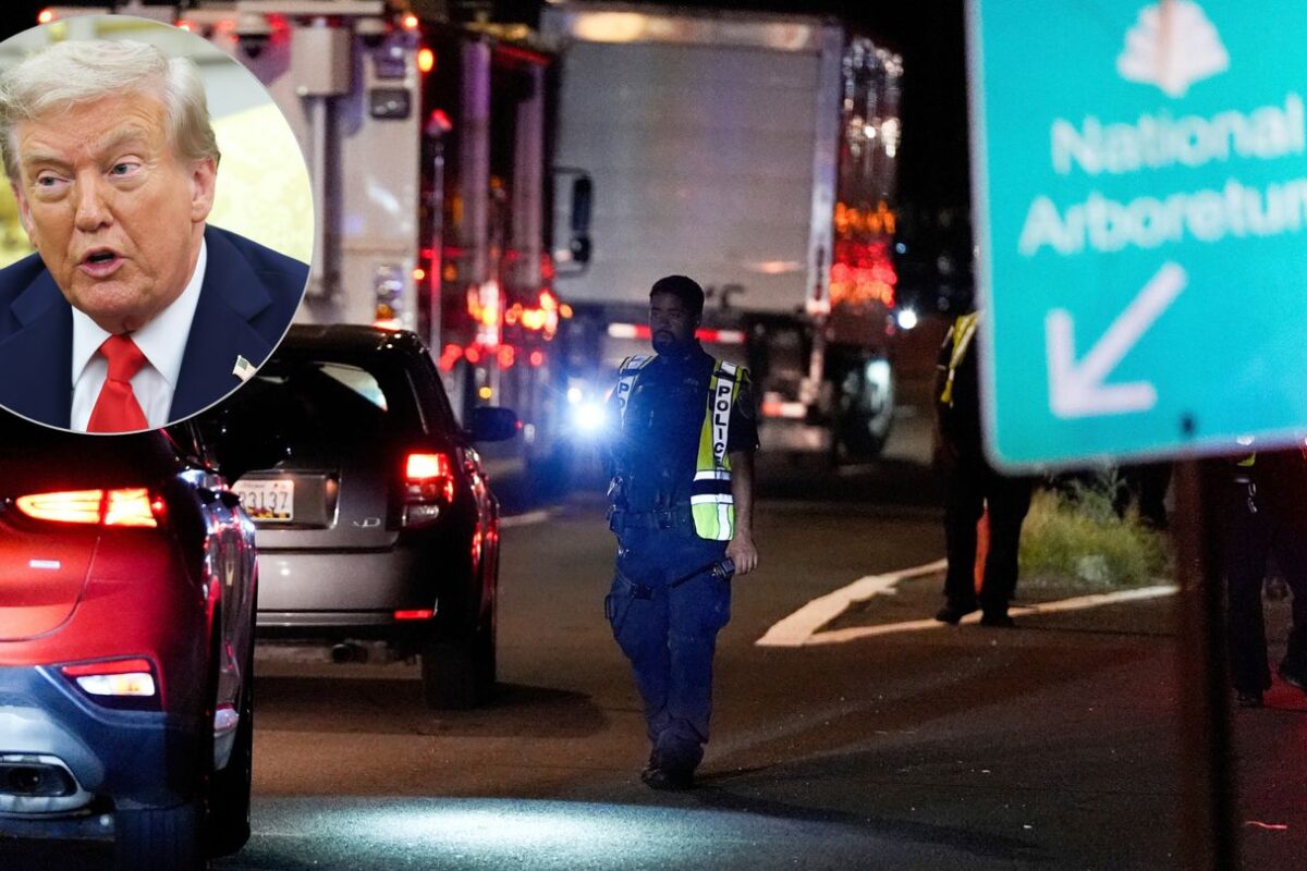 Trump to join Washington patrol while feds deploy checkpoints around city