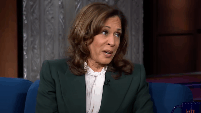 ‘The system is broken’: Kamala Harris explains why she is staying out of electoral politics, for now