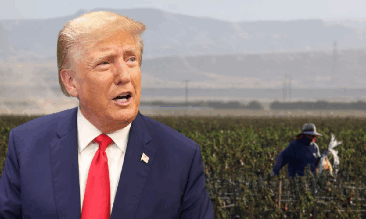 Trump’s claim that undocumented workers are ‘naturally’ fit for farm labor harkens to racist theory about enslaved Blacks