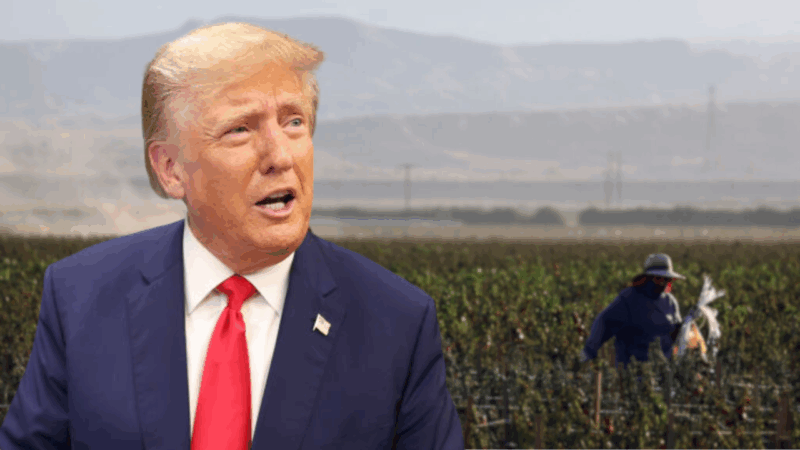 Trump’s claim that undocumented workers are ‘naturally’ fit for farm labor harkens to racist theory about enslaved Blacks