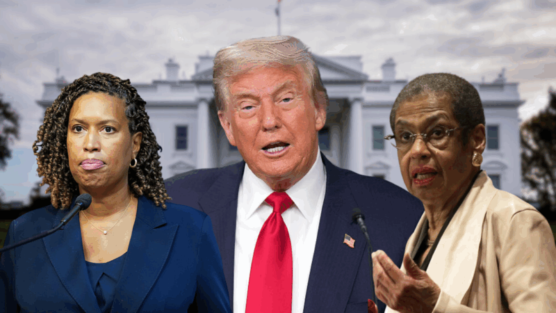 Trump’s federal takeover of DC dismissed as hypocritical, not based on facts and a threat to Black residents